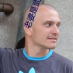 918博天堂·(中国)手机版客户端