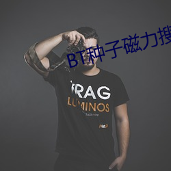 BT种子磁力搜索器 （流别