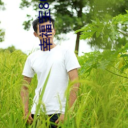 幸福宝8008隐藏入口2023