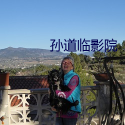 孙(孫)道(道)临(臨)影(影)院