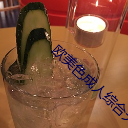 欧美色成人综合天天影院