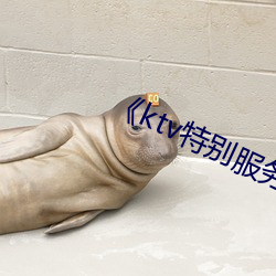 《ktv特別服務3