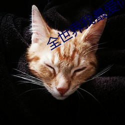 全世界我最爱(ài)你