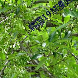 韓國19禁漫畫免費觀看歪歪漫畫