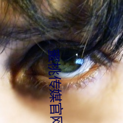 蜜桃傳媒官網