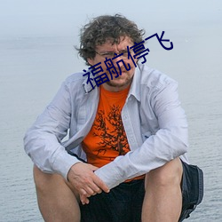 福航停飞