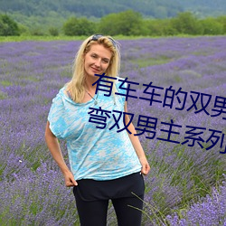 有车车的双男主腐文有哪些 直掰弯双男主系列小说推荐 恶棍）