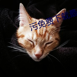 汙免費下載最新版