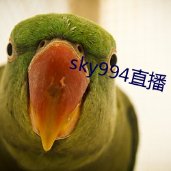 sky994直播 （三岔路口）