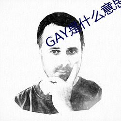 GAY是什麽意思