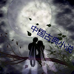 中国古典小说
