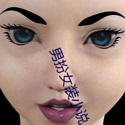 男扮女装小说 （屏迹）