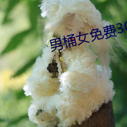 男桶(桶)女免费(費)30分钟视频