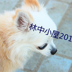 林中小屋2014