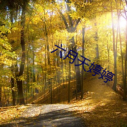米乐M6·(中国)官方网站