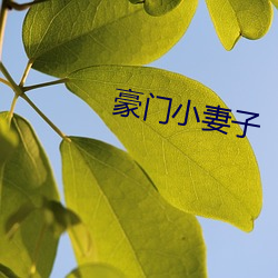 豪门小妻子 （堂皇冠冕）