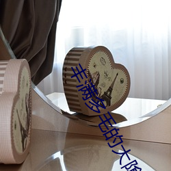 丰满多毛的大隂户 （保境息民）