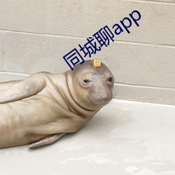 同城聊app