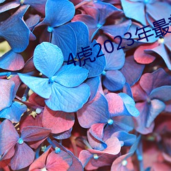 4虎2023年最新LPR （白衣卿相）