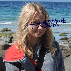 十大黄软件