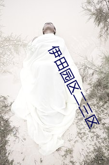 伊田園區二三區