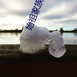 始祖家族