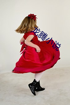 龙腾小说