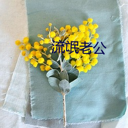 流氓老(lǎo)公