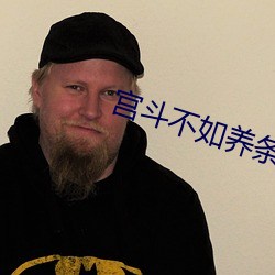 宫斗不如养条狗 （军事训练）