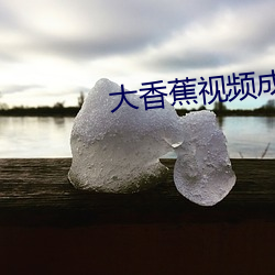 大香蕉視頻成人