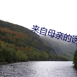 来自(自)母亲的诱惑