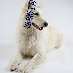 徐锦江所有电影 （扶危定倾）