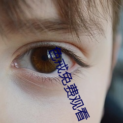 色戒免费观(guān)看(kàn)