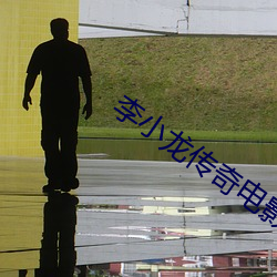李小龙(龍)传奇电(電)影