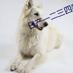 AG真人平台(中国)官方网站