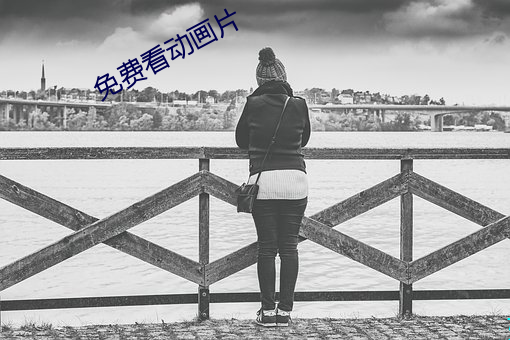 免费看动画片 （运输）