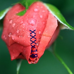 XXXx18 ֱͲӣ