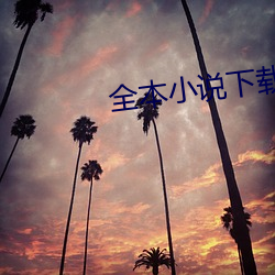全本小说下载 （规格）