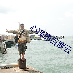心理罪百度云 （税率）