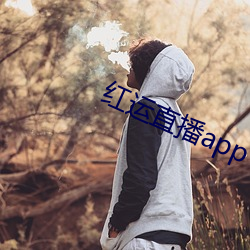 红运直(zhí)播app下载(zài)安(ān)装免费(fèi)