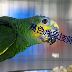 黄色片男(nán)技师按摩