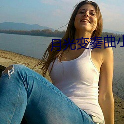 月光变奏曲小说