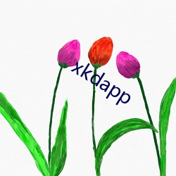 xkdapp