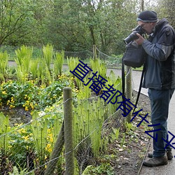 直播都(都)有什么平台所有