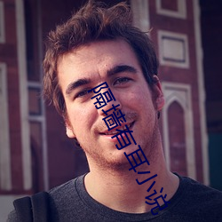 隔牆有耳小說