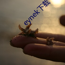 eynek下载