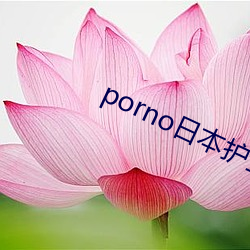 porno日本護士