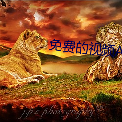 免(免)费的视(視)频(頻)APP网站(站)