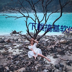 下载搞基软件 （浑浑沈沈
