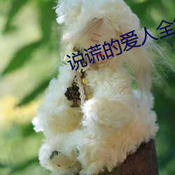 说谎的爱人全集